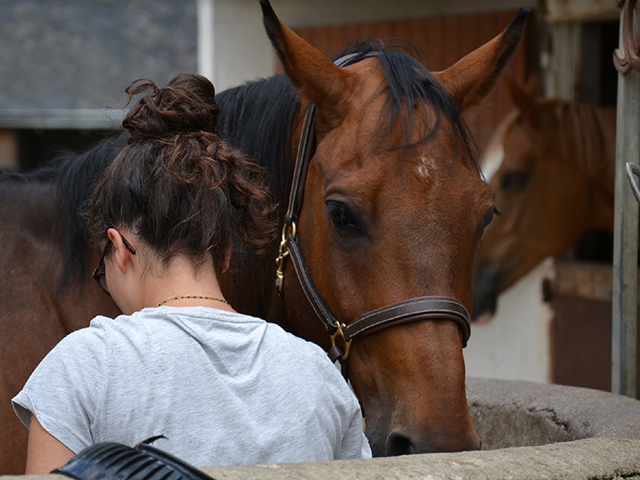 Equitation